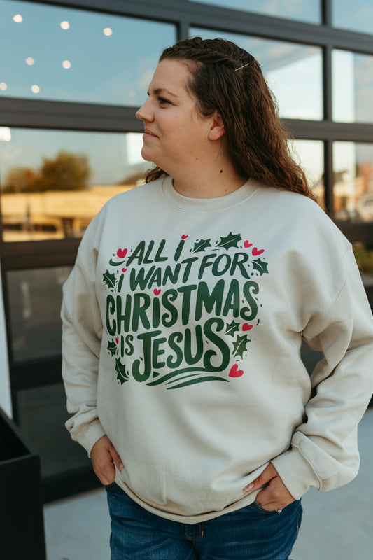 All I Want For Christmas Is Jesus Sweatshirt (Multiple Colors)