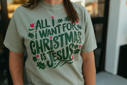 All I Want For Christmas Is Jesus Tee (Multiple Color Options)